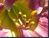 DSCF6443 DSCF6443