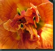 DSCF6377 DSCF6377