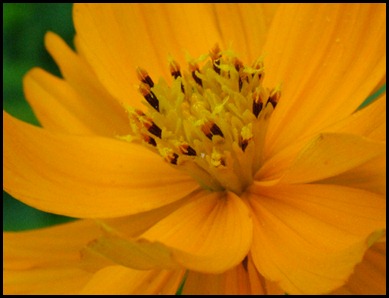 DSCF7639 DSCF7639