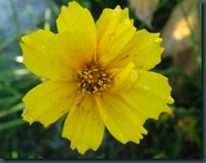 DSCF6969 DSCF6969