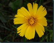 DSCF7158 DSCF7158