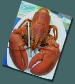 lobster cooked (2) lobster cooked (2)