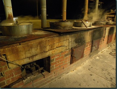 lobsters cooking (2) lobsters cooking (2)