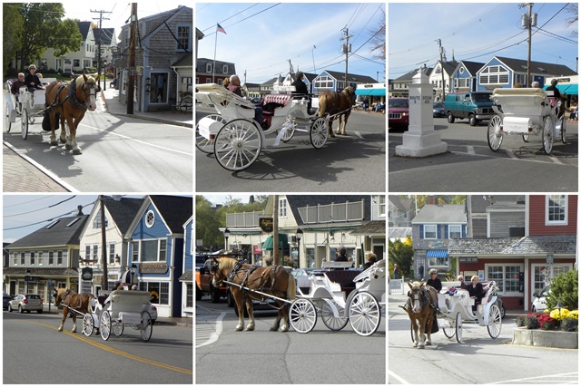 [carriage ride collage[4].jpg]
