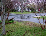 rainy day032311 (5) rainy day032311 (5)