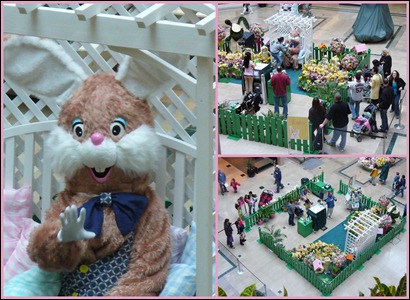 bunny collage 0411 bunny collage 0411