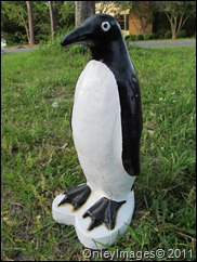 IMG_0476 IMG_0476