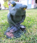 IMG_0464 IMG_0464