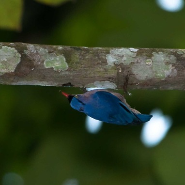 _DSC0101 _DSC0101