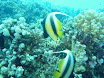 P1030547.JPG