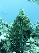P1030594.JPG