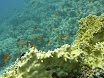 P1030613.JPG