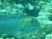 P1030644.JPG