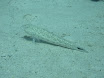 P1030784.JPG