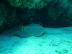 P1030846.JPG