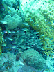 P1030859.JPG