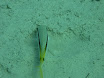 P1030894.JPG