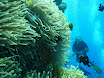 P1030996.JPG