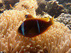 P1040007.JPG