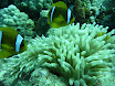 P1040067.JPG