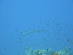 P1040117.JPG