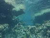 P1040137.JPG