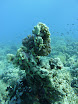 P1040186.JPG