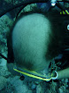 P1040194.JPG