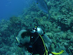 P1040195.JPG