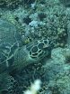 P1040233.JPG