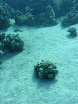 P1040409.JPG