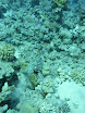 P1040441.JPG