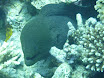 P1040480.JPG