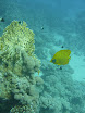 P1040491.JPG