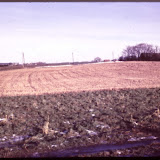 Skolebyggeri