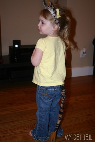 Houston - cat tail Soph Houston - cat tail Soph