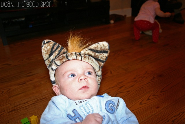 [Houston - Dean cat[12].jpg]