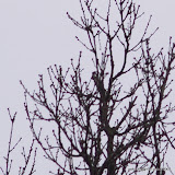 Tamron 135 f13