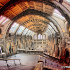 Natural History Museum 2009 06 16