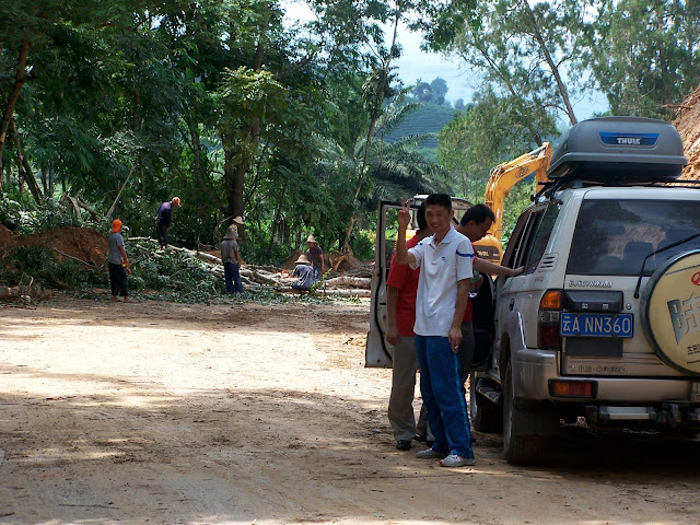 We wait for trees to be cleared from the road