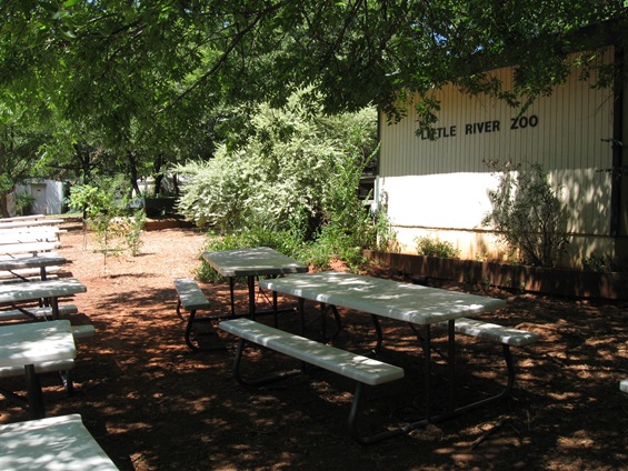 [7-21-09 norman zoo 035[1].jpg]