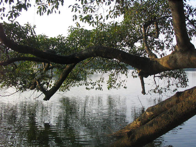 Click to enlarge http://lh6.ggpht.com/_9wXrEcHln64/RxqrGXfGK2I/AAAAAAAAAZQ/EQ0D67Hvr4I/s640/Sword%20Lake%20001.jpg