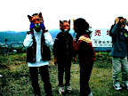 foxes, Okayama