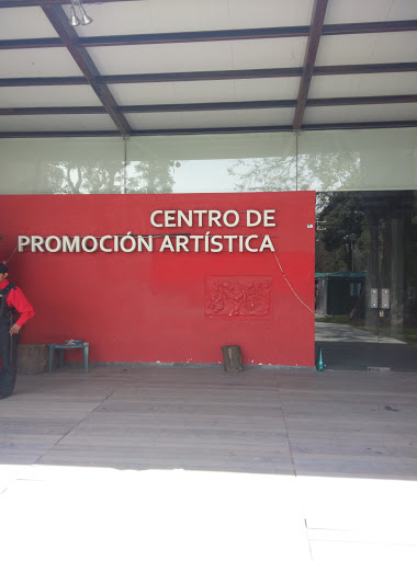 Centro De Promoción Artística
