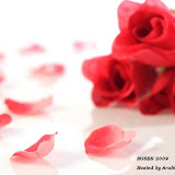 More Roses 2009