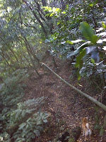 燒炭古道.JPG Photo