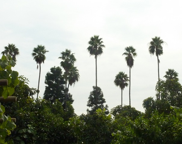 [P10206434.jpg]
