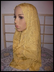 SANY0040 SANY0040