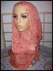 SANY0028 SANY0028