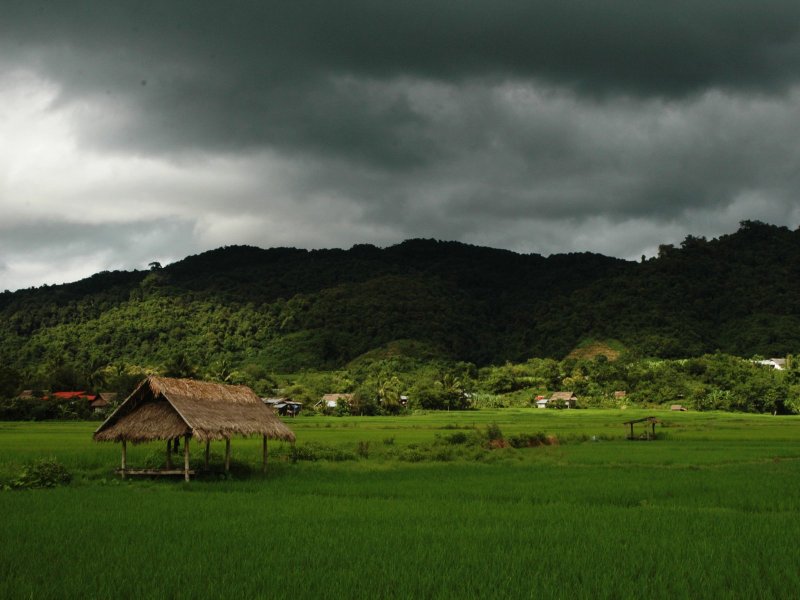 luang_nam_tha.jpg